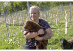 Fotografie: Schäferin Christine hält ein kleines Lamm auf dem Arm. 