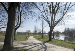 Fotografie - Ufer und Fahrradweg