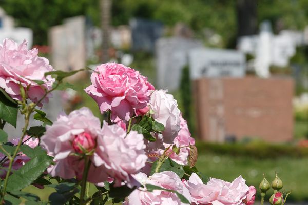 Bürgerzentrum - Friedhof