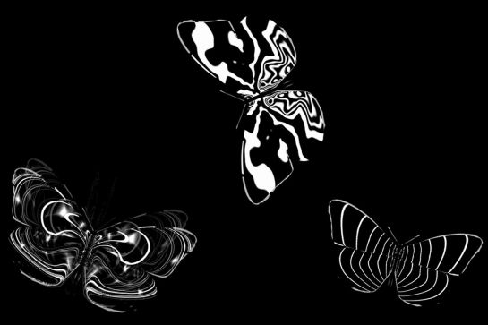 Grafik - drei schwarz-weiße Schmetterlinge