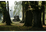 Der Dörnbergpark – ein englischer Landschaftsgarten im Wandel
