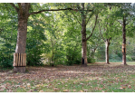 Bäume mit Holzschutz in Slackline-Parks