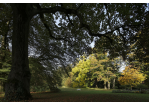 Der Dörnbergpark – ein englischer Landschaftsgarten im Wandel