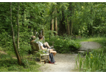 Fotografie: Zwei Personen sitzen auf einer Bank im Auwald.