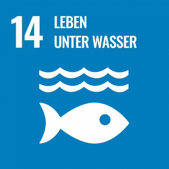 Nachhaltigkeit - Ziel 14 - Leben unter Wasser 