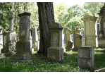Fotografie - Grabsteine auf jüdischem Friedhof