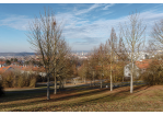 Fotografie - Blick nach Regensburg