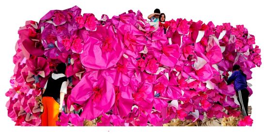 Fotografie – florales Kunstwerk in pinker Farbe