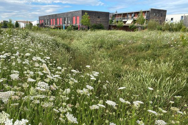 Fotografie - Architekturpreis 2024, Aubachpark nordwestlicher Teil Burgweinting - Preis