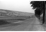 Fotografie: Winzerer Höhe / Nürnberger Straße / Winzer 1947