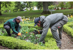 Fotografie: Zwei Mitarbeiter des Gartenamtes bepflanzen ein Beet.