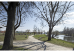 Fotografie - Ufer und Fahrradweg © Bilddokumentation Stadt Regensburg