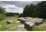 Fotografie -  Ziegetsdorfer Park