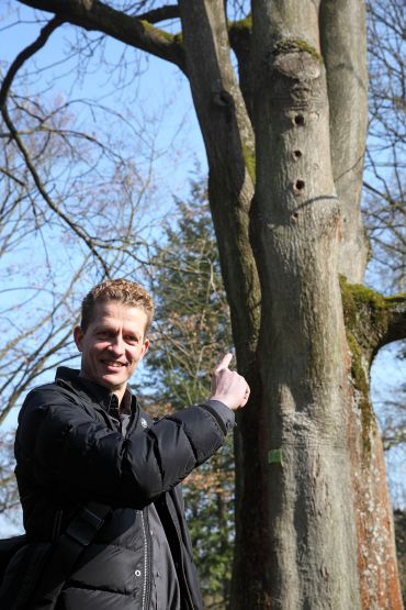 Fotografie: Gartenamtsleiter Dietrich Krätschell weist auf die Löcher hin, die der Specht bei seiner Nahrungssuche hinterlassen hat.