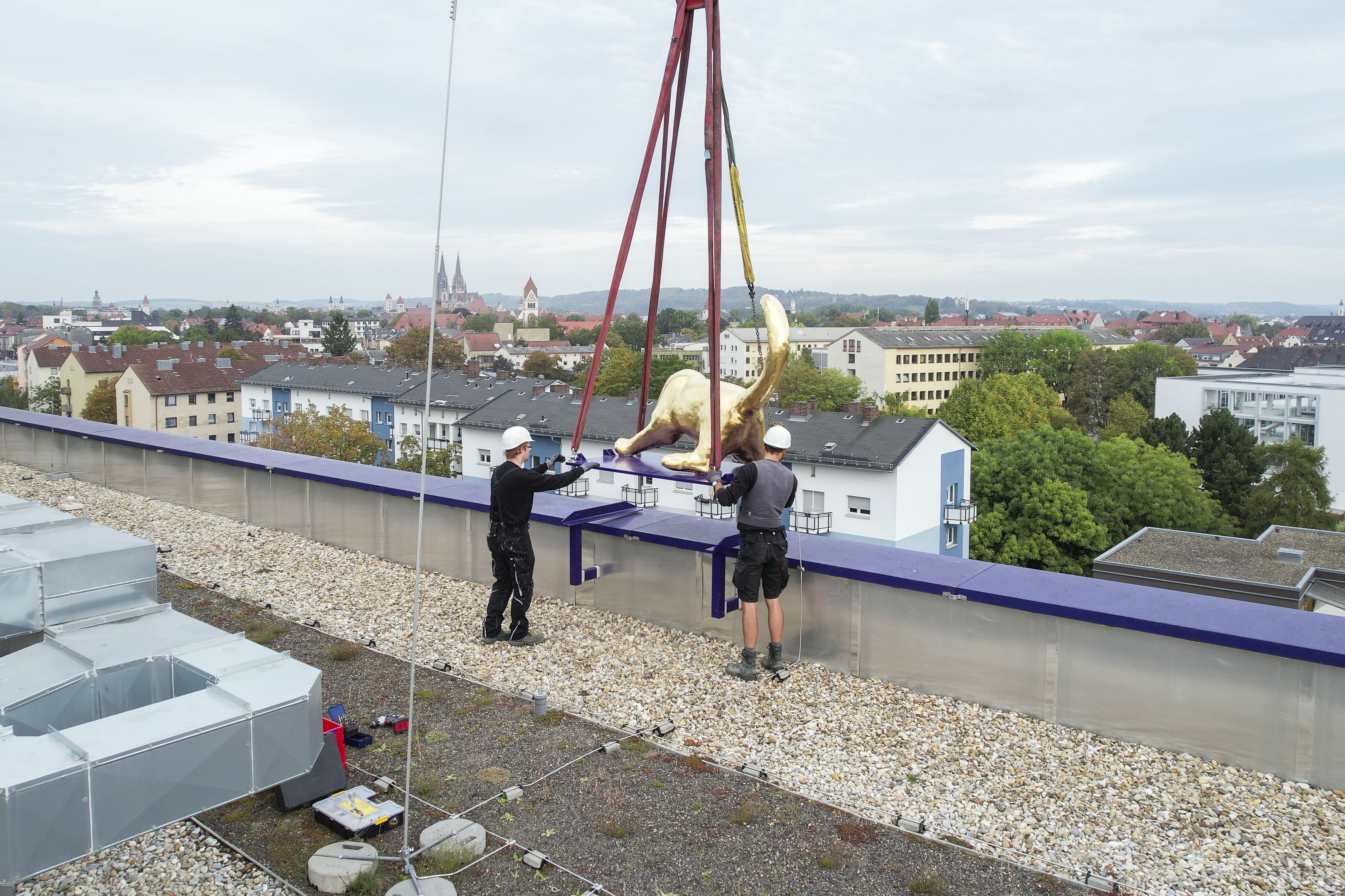 Fotografie: Mithilfe zweier Arbeiter landet Luzy auf dem Dach der Hauptfeuerwache.
