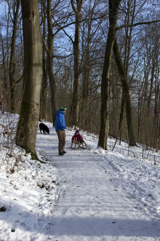 Fotografie – Spaziergänger mit Kind auf Schlitten und Hund auf den verschneiten Winzerer Höhen