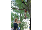 Fotografie: Ein Kind klettert gesichert auf einen Baum. (C) Bilddokumentation Stadt Regensburg