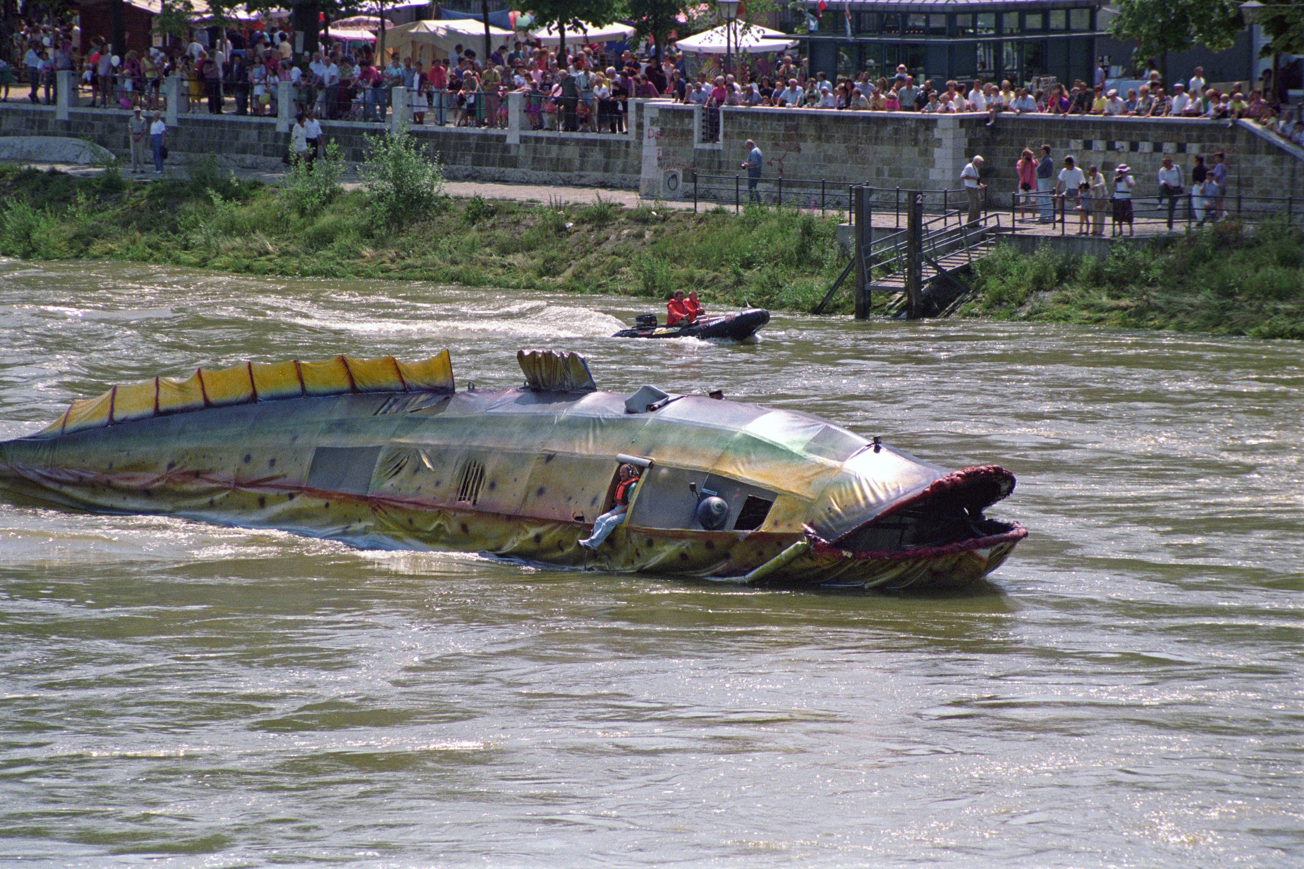 Fotografie: Als Waller gestaltetes Boot auf der Donau