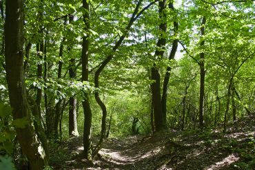 Keilsteiner Hang - Wanderweg