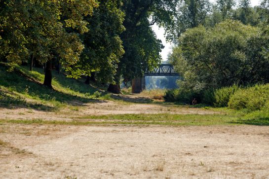 Fotografie: Trockene Erde und Natur