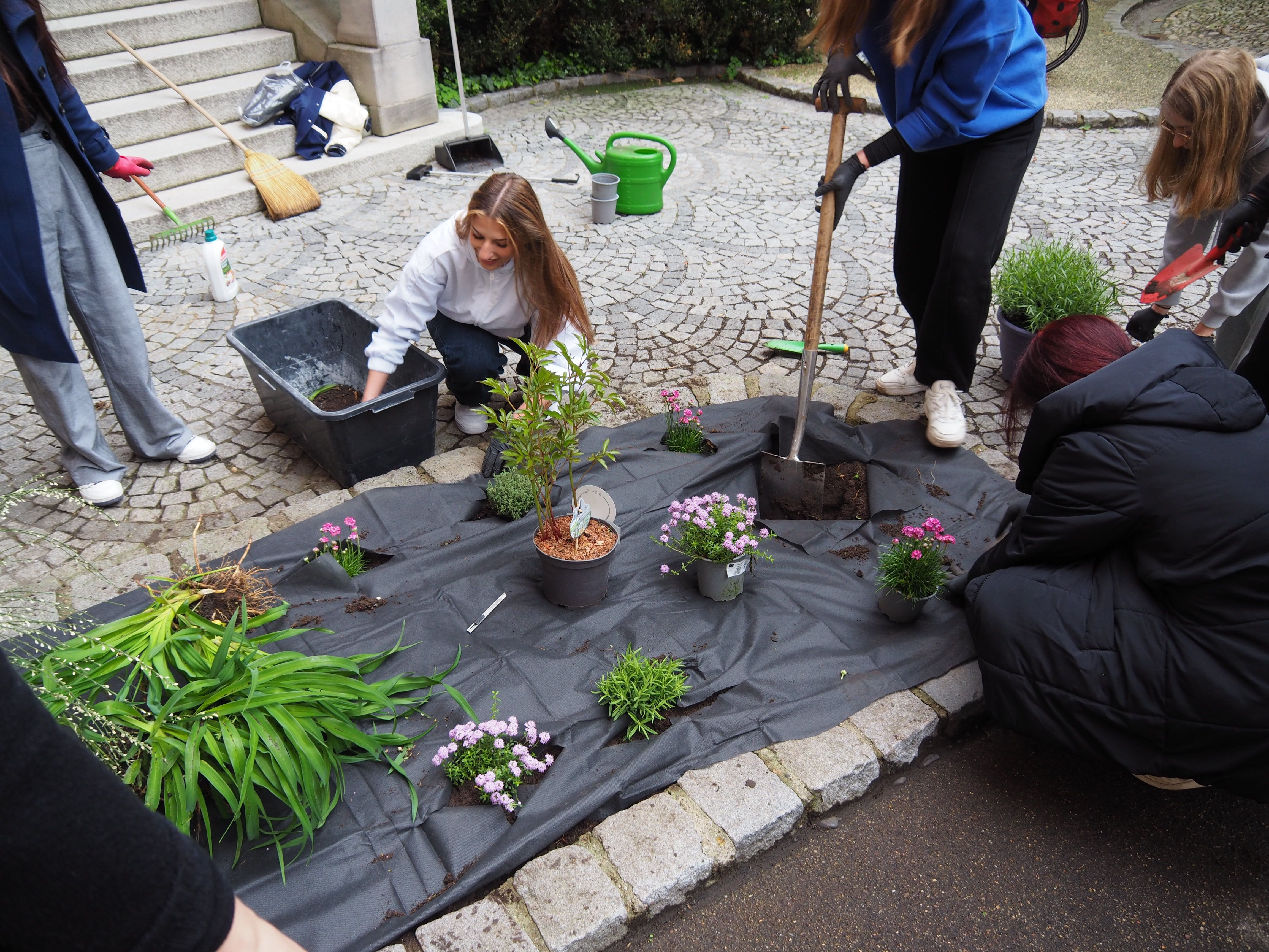 Blumenbeet5