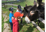 MGH_Kinderclub_Ausflug (C) MGH, Stadt Regensburg