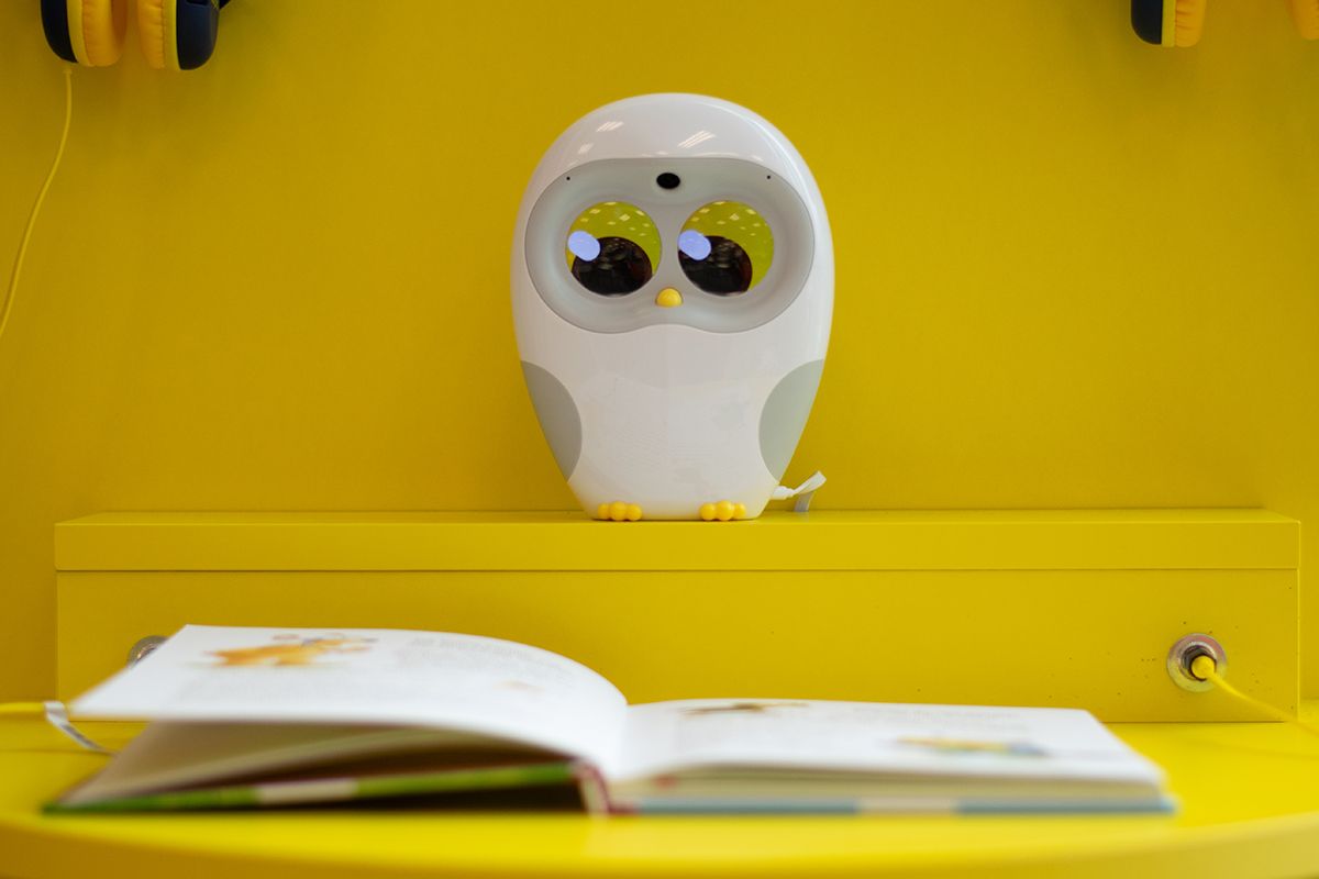 Fotografie - Die Eule "Luka" liest Kinderbücher vor.
