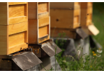 Fotografie - Bienenkästen im Donaupark