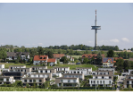 Fotografie -  Blick Richtung Fernsehturm