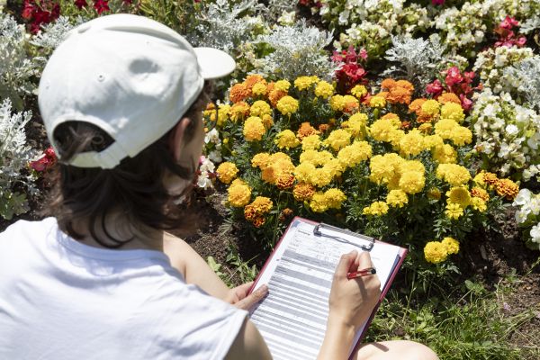 Fotografie: Eine Frau sitzt mit einem Klemmbrett vor einem Blumenbeet.