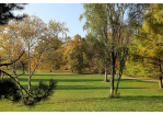 Fotografie - Wiesen im Sommer (C) Bilddokumentation Stadt Regensburg