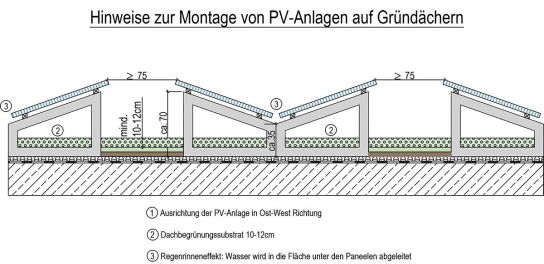Systemskizze - Kombination von Dachbegrünung mit Photovoltaikanlagen-Anlagen