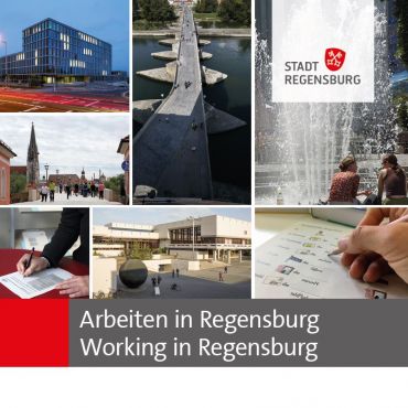 Vorschaubild Wegweiser Arbeiten in Regensburg - Working in Regensburg