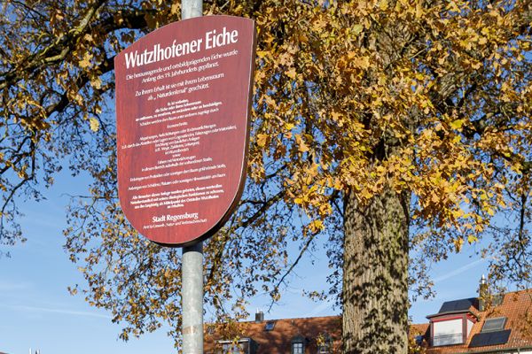 Fotografie - Wutzlhofener Weiche