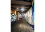 Vom_Fliegen_und_Stürzen_Vernissage4 (C) Stadt Regensburg - Welterbekoordination