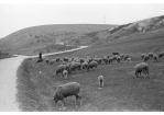 Fotografie: Vordere Keilbergstraße 1940