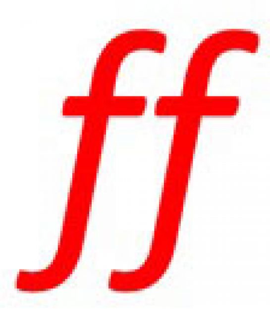 Logo ff - frauen führen 2.0 (C) Stadt Regensburg