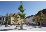 autofreie Platzgestaltung mit Bänken, Bäumen und bespielbaren Brunnen (C) Bilddokumentation Stadt Regensburg