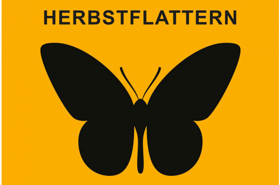 Schwarzer Schmetterling auf gelben Hintergrund - Vorschaubild zum Videomapping-Projekt Herbstflattern