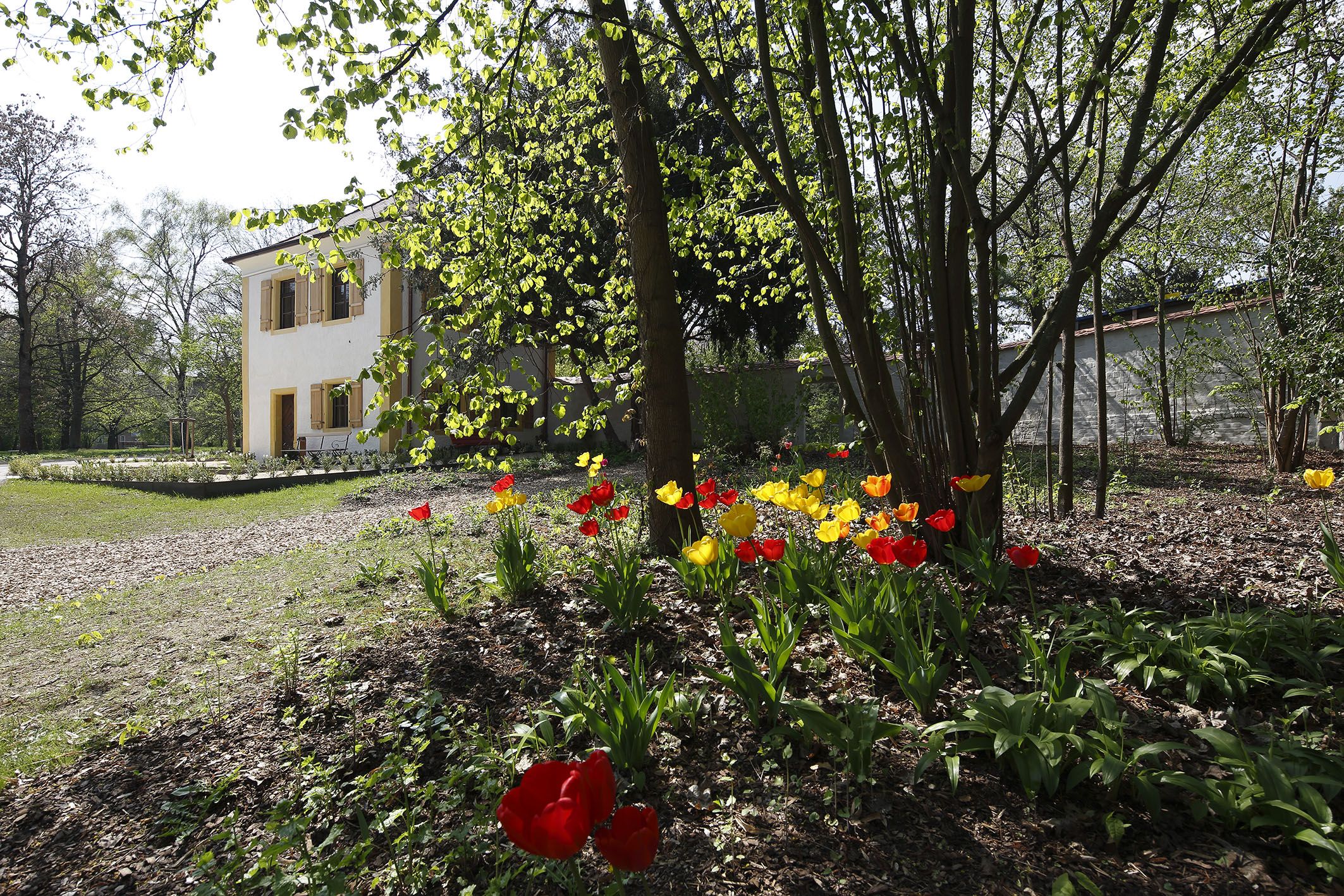 Noch mehr Farbe im Grün – das sieht das künftige Konzept für den Park vor.