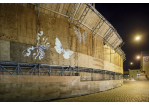 Fotografie - Schmetterlings-Videoinstallation am Bauzaun des Doms © Bilddokumentation Stadt Regensburg