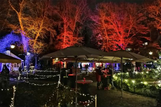 Fotografie - Blick auf den Weihnachtsmarkt im Dörnbergpark