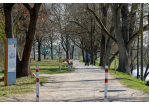Fotografie - Spaziergänger auf einem Weg (C) Bilddokumentation Stadt Regensburg