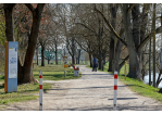 Fotografie - Spaziergänger auf einem Weg