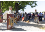 Welterbetag 2023: Donau (Er)leben: Welterbemeile am Marc-Aurel-Ufer 21: Römer