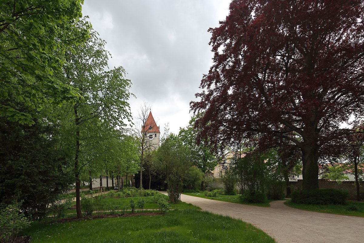 Fotografie - grüne Wiesen und Spazierweg, im Hintergrund der Turm des Ostentors