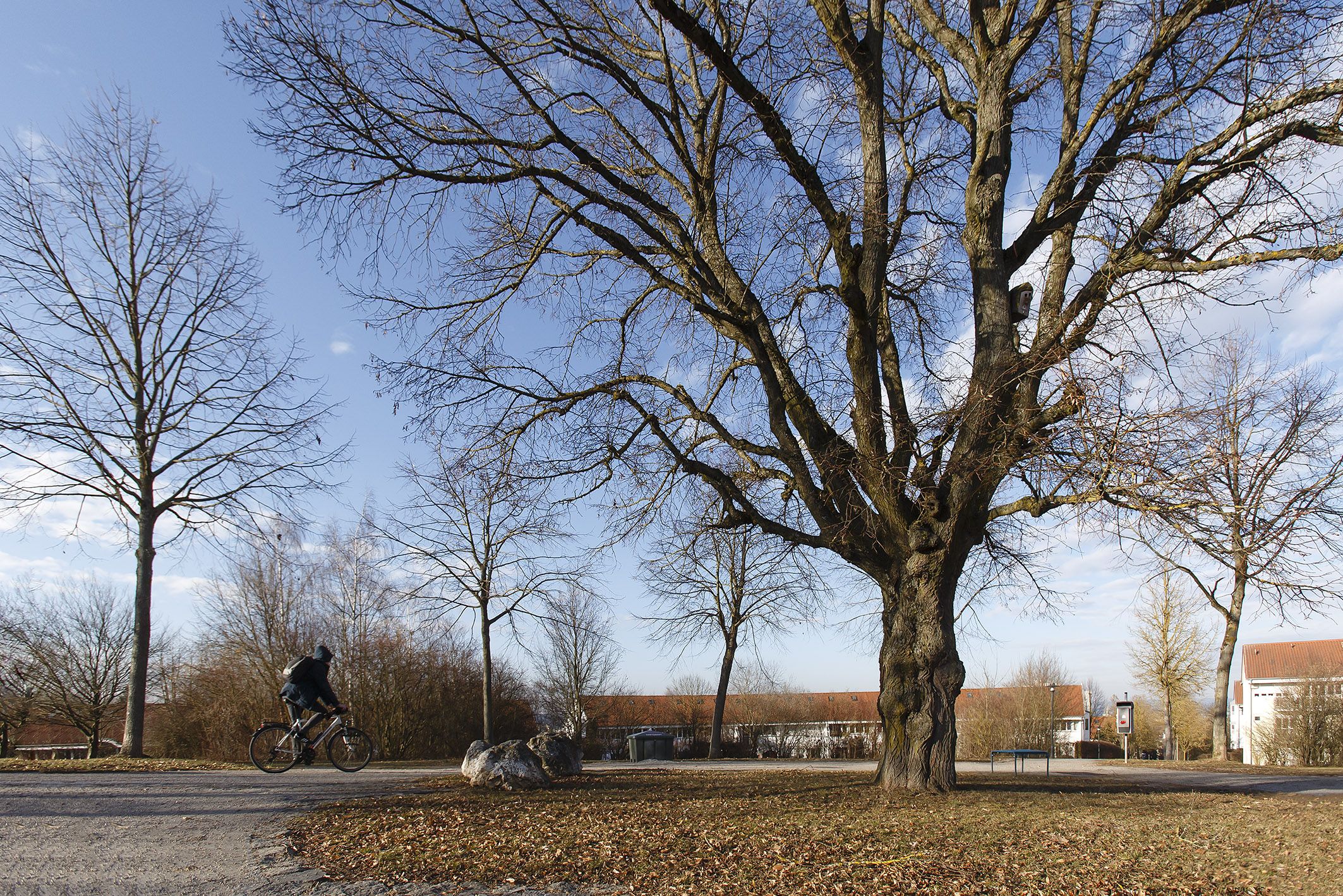 Fotografie: Sternförmig laufen alle Wege auf den „Dorfplatz“ zu.