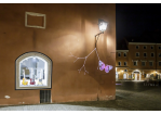 Fotografie - Schmetterlings-Videoinstallation am Haidplatz, Ecke Baumhackergasse