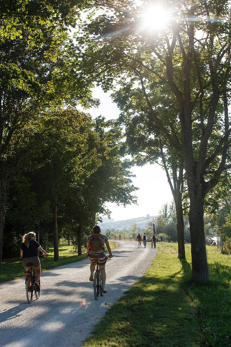 Fotografie - Donauradweg