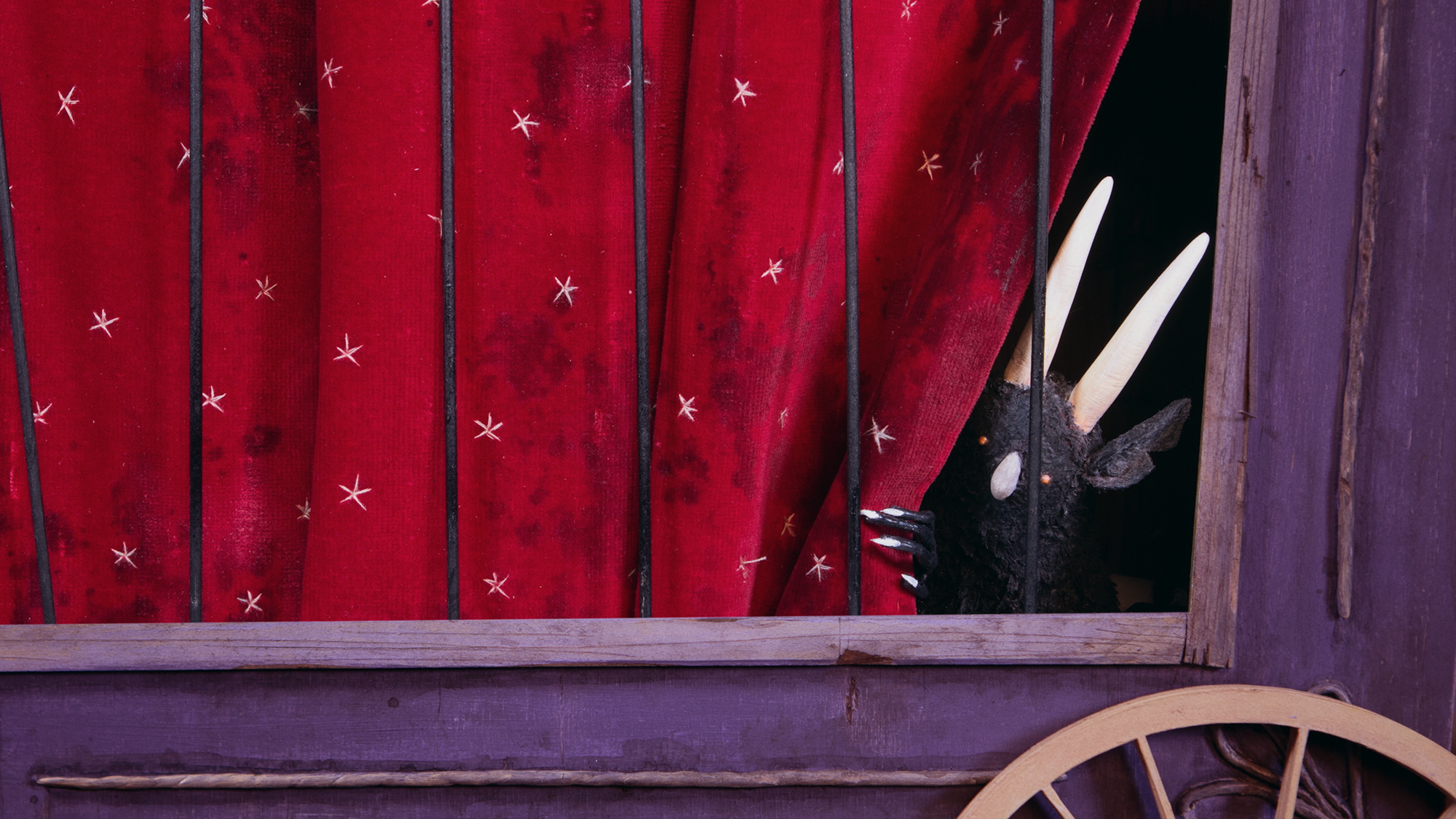 Fotografie – da Geschöpf schaut hinter einem Vorhang des Käfigs hervor